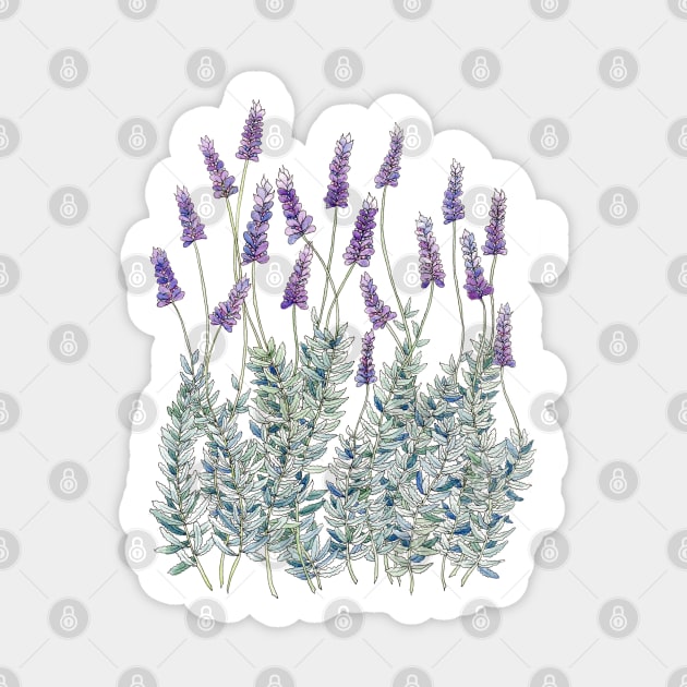 Lavender, Illustration Sticker by JessicaRose